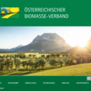 Vorschaubild zu Biomassetag und Heizwerke-Betreibertag<br />am 20. und 21. Oktober 2020 in Aigen im Ennstal
