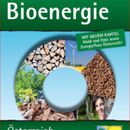 Vorschaubild zu Basisdaten Bioenergie Österreich 2013 - mit neuen Kapiteln "Wald und Holz" sowie "Energiefluss Österreich"