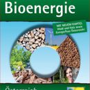 Vorschaubild zu Basisdaten Bioenergie Österreich 2013 - mit neuen Kapiteln "Wald und Holz" sowie "Energiefluss Österreich"