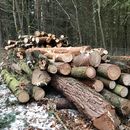 Vorschaubild zu Neue Förderung für Biomasseheizanlagen für Privathaushalte und Landwirte in Oberösterreich
