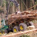 Vorschaubild zu Aktueller Heizkostenvergleich zeigt Preisvorteil biogener Bennstoffe