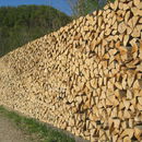 Vorschaubild zu Papierindustrie gegen Biomassenutzung