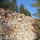 Vorschaubild zu Studie: Holz bleibt trotz deutlich gesunkener Ölpreise günstigster Brennstoff