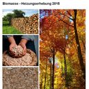 Vorschaubild zu Biomasse-Heizungserhebung 2015