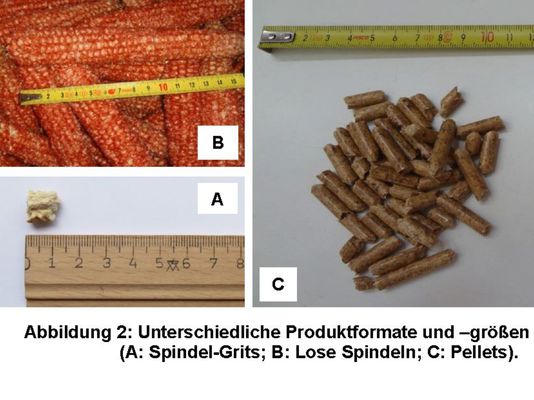 Projekt Succellog - Agrarische Reststoffe als festen Biomasse-Brennstoff nutzen