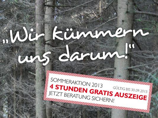 Durchforstungen - 4 Stunden kostenlose Auszeige durch Waldhelfer