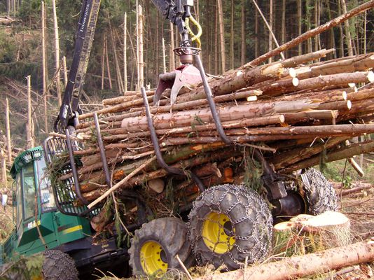 Aktueller Heizkostenvergleich zeigt Preisvorteil biogener Bennstoffe