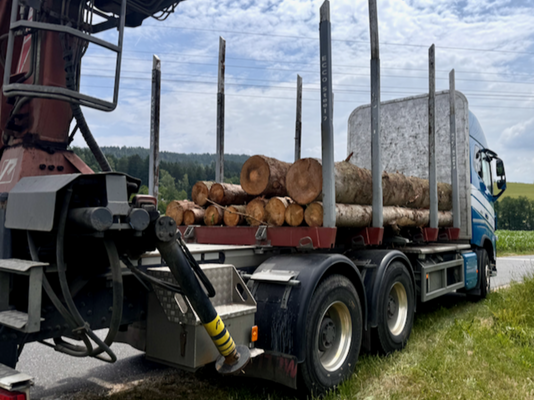 Einladung zur Veranstaltung<br />EU-Green Deal: Chancen der Wertschöpfungskette Holz