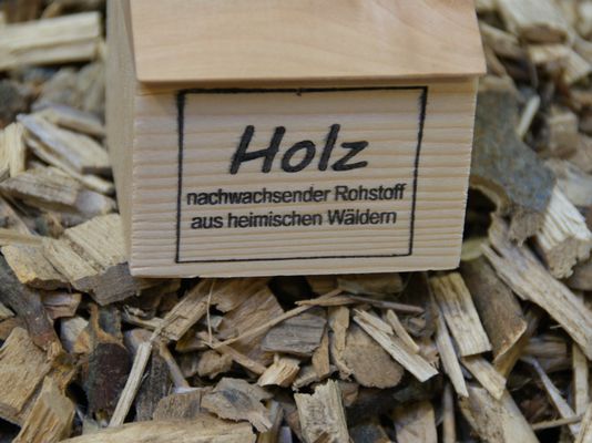 Holz kaskadisch nutzen - Info und Film