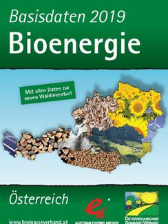 Broschüre "Basisdaten Bioenergie Österreich 2019" erschienen!
