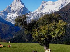 Einladung zum Biomassetag 2014 mit 15-Jahr-Feier der Nahwärme Hinterstoder am 26. April
