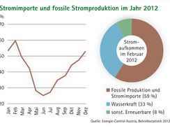 Renaissance der Holzvergaser - Biomasse-Verband präsentiert neuen Falter "Wärme und Strom aus Holz"