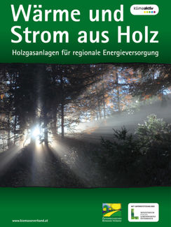 Renaissance der Holzvergaser - Biomasse-Verband präsentiert neuen Falter "Wärme und Strom aus Holz"