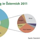 Fossile Förderungen bremsen Erneuerbare - Biomasse ist das Rückgrat der Energiewende