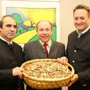 Energie aus Biomasse – die Erfolgsbilanz Oberösterreichs