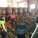 ARGE Ofen-Holz: Zusatzeinkommen mit Brennholzproduktion sichern – Chancen am Markt nutzen
