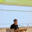 Energie aus heimischem Holz k&ouml;nnte in &Ouml;sterreich deutlich mehr genutzt werden 