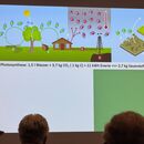 Energie aus heimischem Holz k&ouml;nnte in &Ouml;sterreich deutlich mehr genutzt werden 