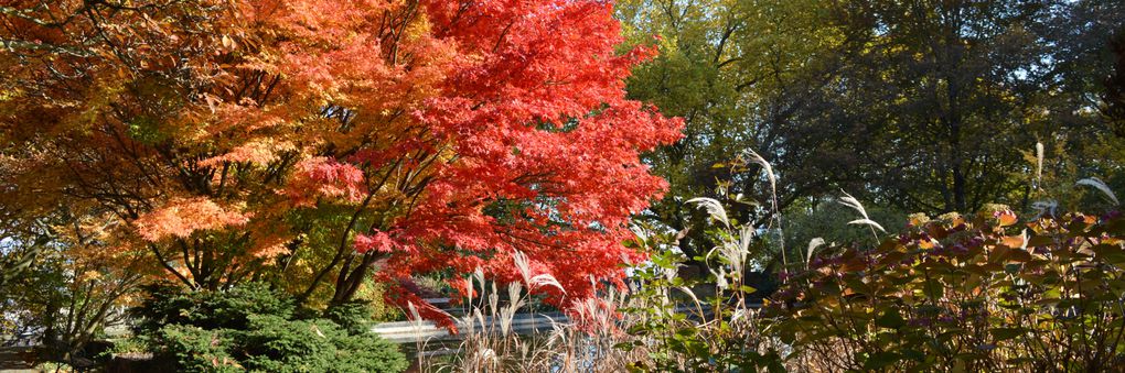 Headerbild: Herbst_am_Teich_slide.jpg