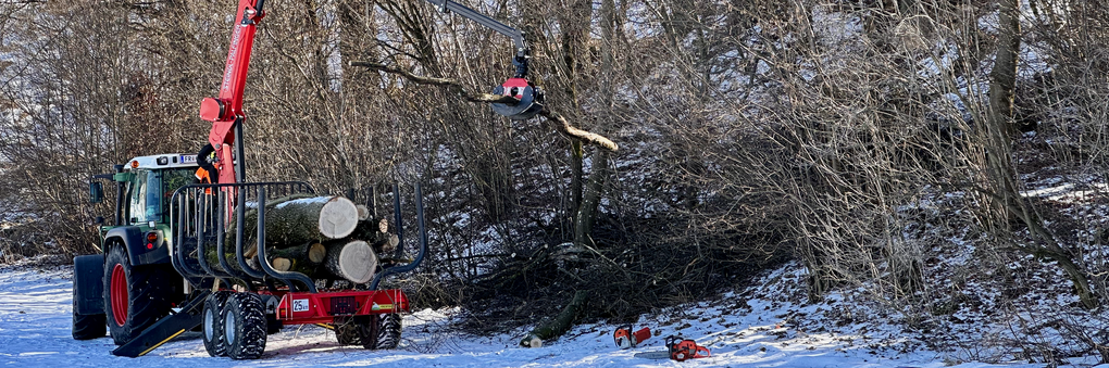 Headerbild: Waldarbeit_slide.png